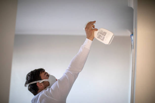 Best Bathroom Mold Remediation in New Pek, IN